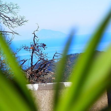 Al Fakhar Bed & Breakfast Ficarra Dış mekan fotoğraf