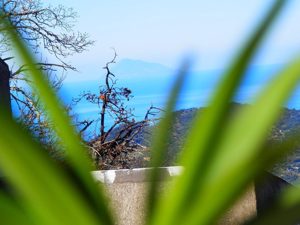 Al Fakhar Bed & Breakfast Ficarra Dış mekan fotoğraf