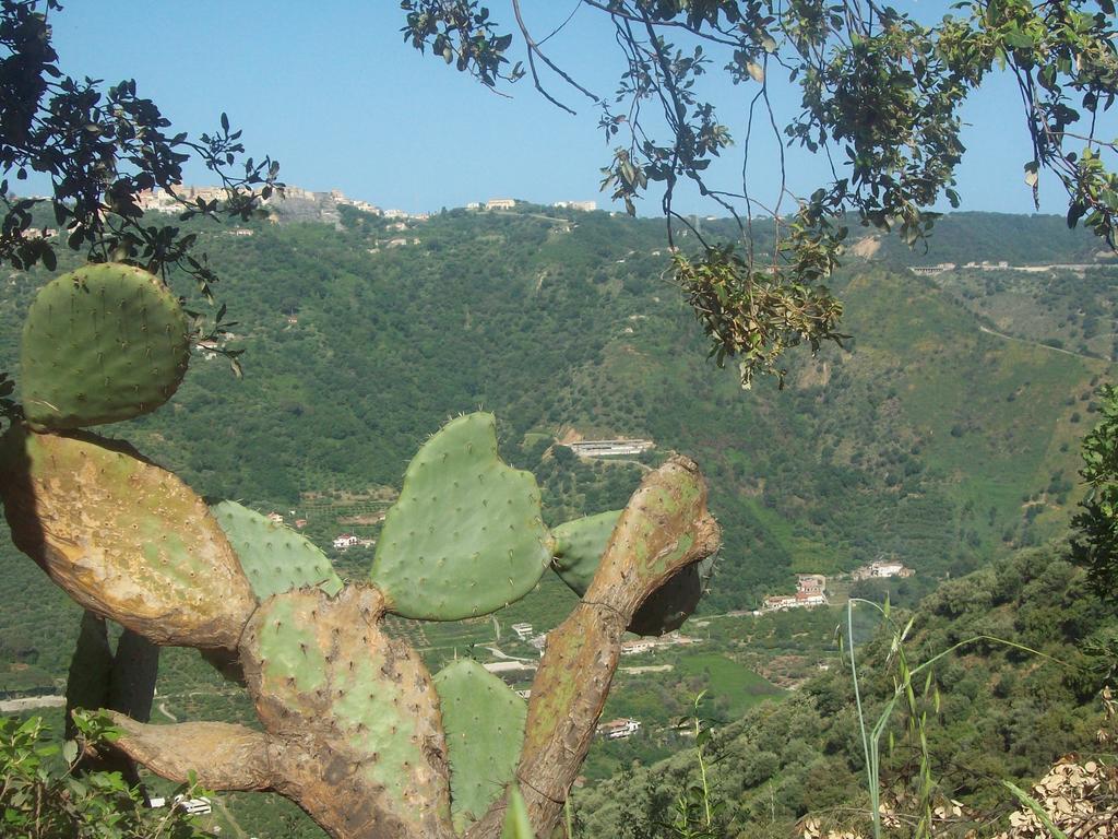 Al Fakhar Bed & Breakfast Ficarra Dış mekan fotoğraf